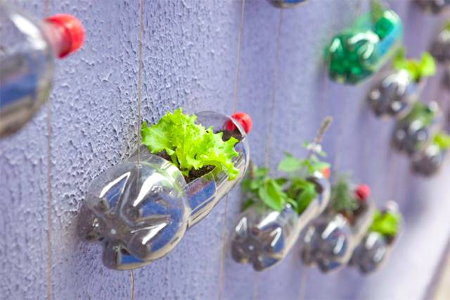 Vertical Garden Built From Recycled Plastic Bottles