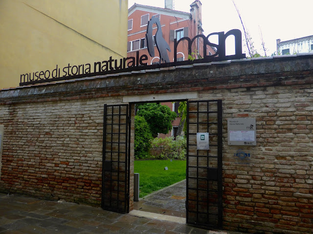 Venezia-Museo-di-Storia-Naturale