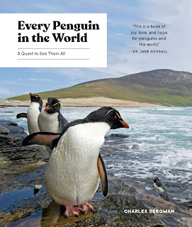 Every Penguin in the World: A Quest to See Them All