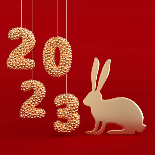 "Year Of Rabbit 2023"