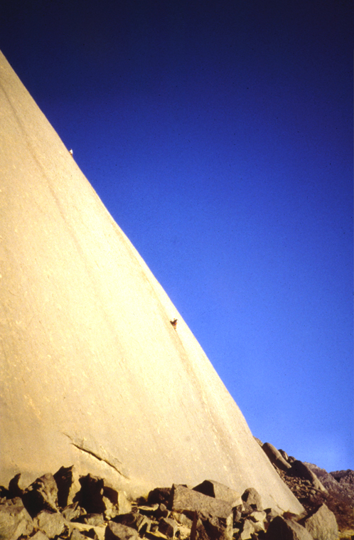 algeria 1990