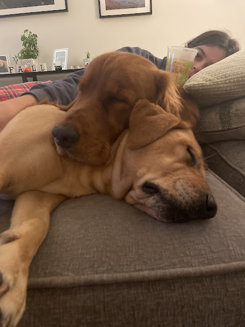 Miles and Heron sleeping together on the ottoman. Gloria is sleeping blissfully  while Miles is sleeping with his head nuzzled up over Heron's neck. (You are in the background of this pic being the big spoon to Miles.)