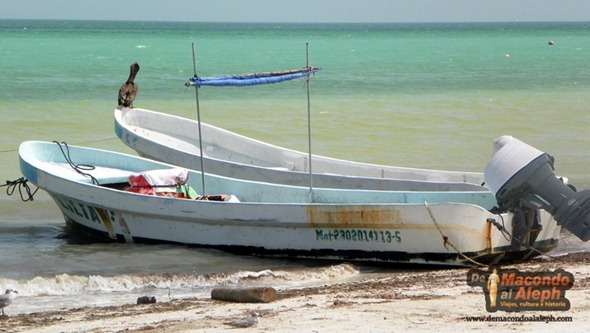 [México] Isla Holbox, un verdadero paraíso