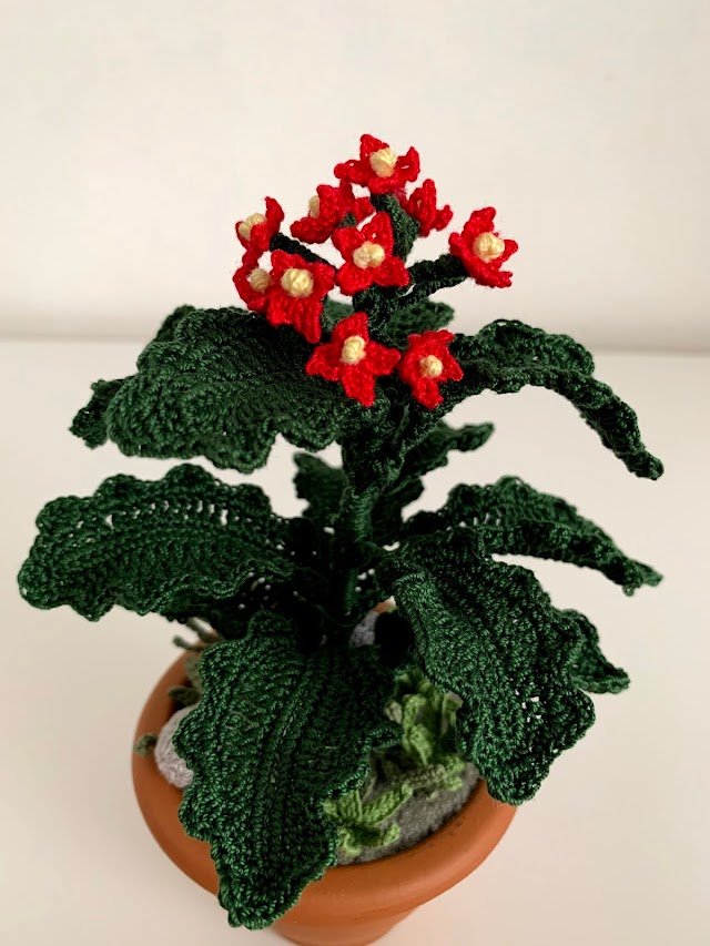 Crochet fat plant explanation: Kalanchoe
