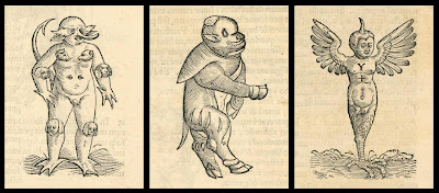 symbolic monster babies - Rueff 1554