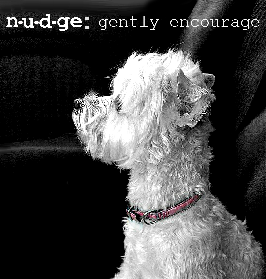 To nudge is to gently encourage. How do you nudge your dog? Try Made In The U.S.A. Nudges premium jerky treats. #NudgesMoments #Shop