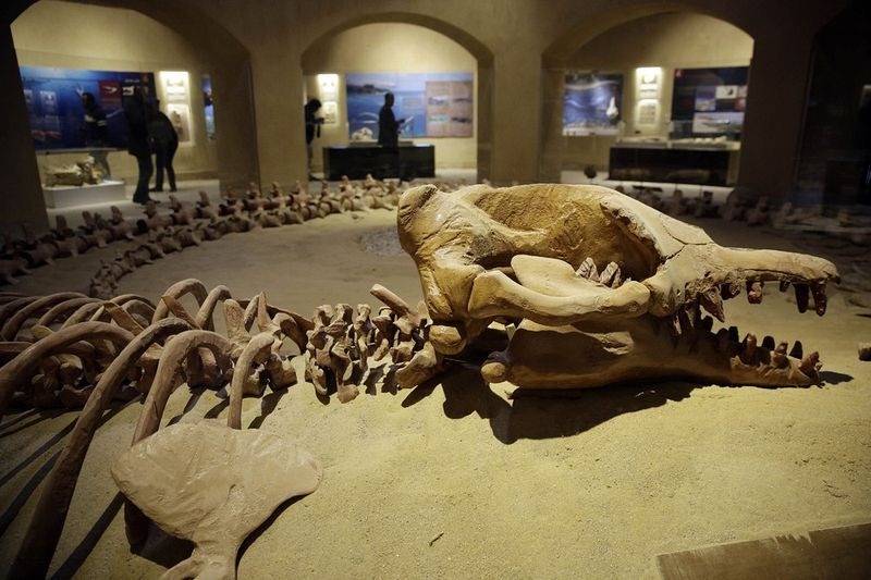 wadi-al-hitan-museum-3