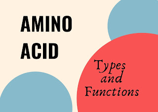 Types of amino acids and there functions Notes & Short Trick to learn