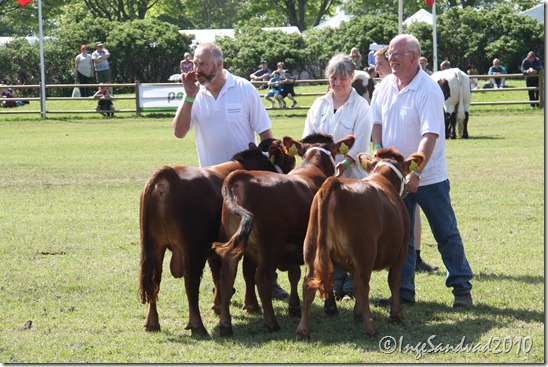 Dyrskue 2010 036