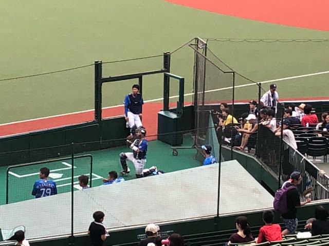 メットライフドームのフィールドビューシート 子連れ野球観戦に関する幾つかの考察