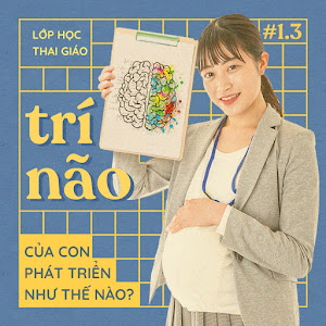 1.3 - Sự phát triển trí não của bé từ khi còn trong bụng mẹ