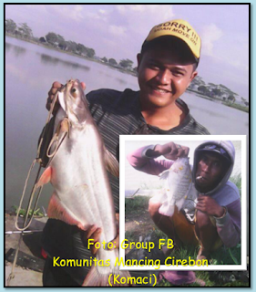 Ikan Target Waduk Kirota, Spot Mancing Di Wilayah Kota Cirebon Dan Sekitarnya