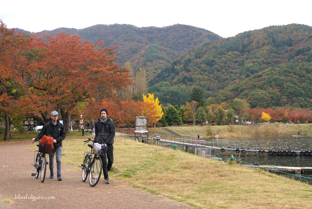 Mount Fuji Tour Autumn Blog