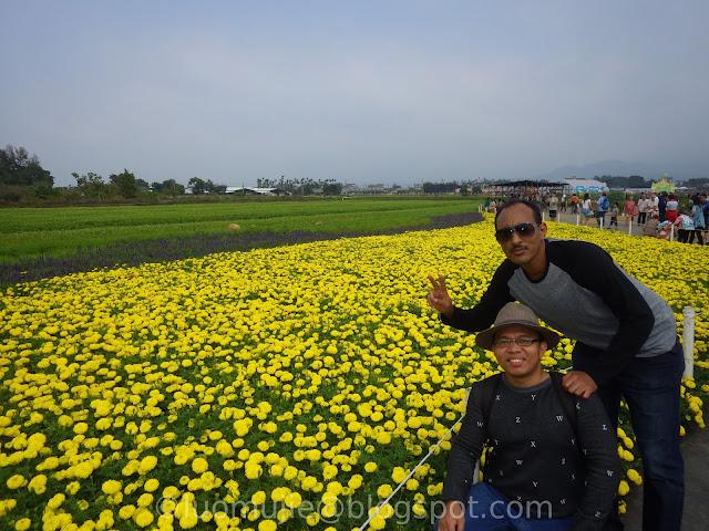 Xinshe Sea of Flowers