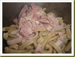 Strozzapreti di integrali con prosciutto cotto e crema vegetale alla soia  (3)
