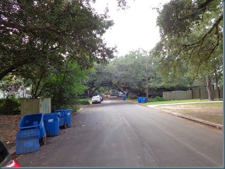 Live Oak street canopy 2013-10-29 001