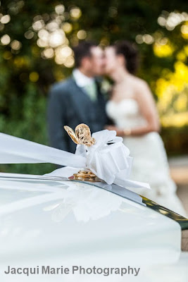 Bride and Groom Portrait, Steeple Court Manor, Botley, Hampshire