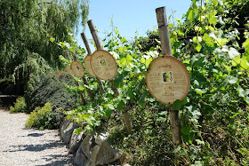 Парк Аистов-виноградник