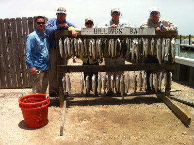 Speckled Trout, Floyd Anerson