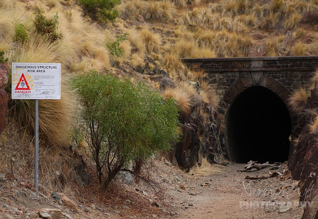 Victoria Park Railway Tunnel