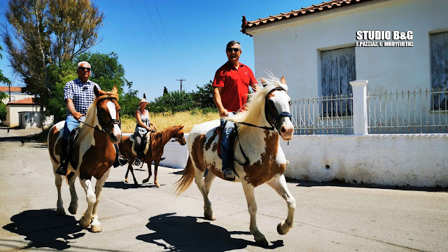 Αργολίδα: Καλπάζοντας στις κάλπες (βίντεο)