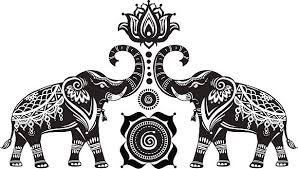 elephant black & white photography