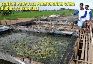 CONTOH PROPOSAL PERMOHONAN DANA BUDIDAYA IKAN LELE