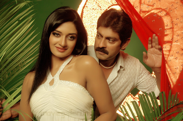 chattam_movie_vimala_raman_jagapathi_babu_06.JPG (400×266)