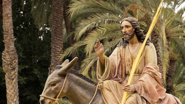 Este domingo 28 de marzo se celebra el Domingo de Ramos, y supone uno de los días señalados en el calendario de la Semana Santa, durante la que se celebra la pasión, muerte y resurrección de Jesucristo.  En el Domingo de Ramos, se conmemora la entrada triunfal de Jesús en Jerusalén, exactamente una semana antes de su Resurrección, cuando la multitud lo recibió con hojas de palma.  Este día también es denominado Domingo de Pasión, porque corresponde al domingo anterior al de Resurreción. Este día marca el final de la Cuaresma y el inicio de la Semana Santa, conmemorando no uno sino dos acontecimientos muy significativos en la vida de Cristo.  De acuerdo con el calendario del Vaticano, el domingo 28 de marzo, Domingo de Ramos y de la Pasión del Señor, el Papa Francisco celebrará en la Basílica de San Pedro la Santa Misa a las 10:30 a.m. (hora de Roma) y al terminar, dirigirá desde allí el tradicional rezo del Ángelus.  Debido a la situación extraordinaria de la pandemia mundial del coronavirus, la Congregación para el Culto Divino y la Disciplina de los Sacramentos publicó algunas recomendaciones dirigidas a los obispos para las celebraciones de la Semana Santa 2021.  Para el Domingo de Ramos se aplican las mismas indicaciones del pasado año. Es decir, se establece que “la Conmemoración de la Entrada del Señor en Jerusalén se celebre en el interior del edificio sagrado; en las iglesias catedrales se adopte la segunda forma prevista del Misal Romano; en las iglesias parroquiales y en los demás lugares, la tercera”.  Además, el texto del 2021 de la Congregación anima a “preparar subsidios adecuados para la oración en familia y personal, potenciando también algunas partes de la Liturgia de las Horas”.