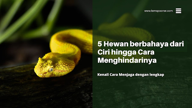 5 Hewan berbahaya dari Ciri hingga Cara Menghindarinya