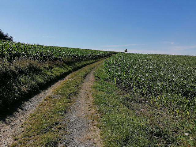 Sauerland wandern Wetter blog Meschede Eslohe Rundweg