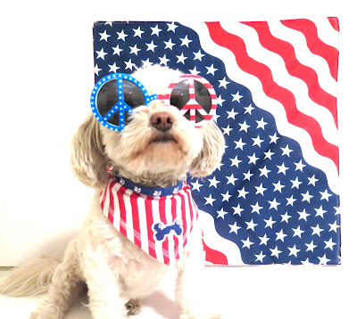 Fourth of July Safety Tips for Dogs,  4th of July dogs, July 4th dog safety