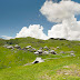 Velika planina - escape the city and hike in the nature