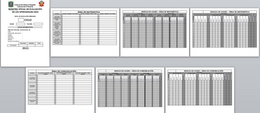 REGISTRO OFICIAL DE EVALUACIÓN - REGISTRO AUXILIAR