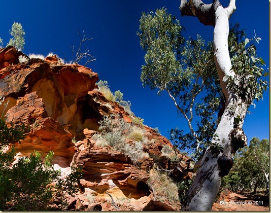 kings canyon panorama7