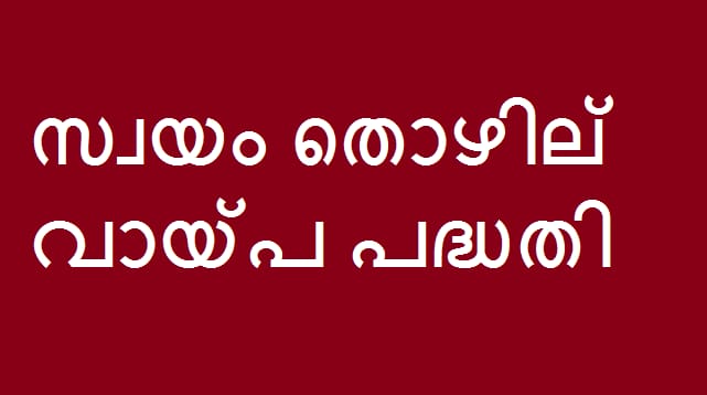 സ്വയം തൊഴിൽ വായ്പ