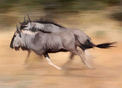 World fastest animals wildebeest - 5