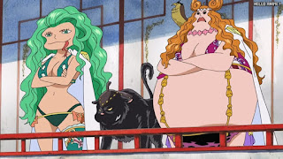 ワンピースアニメ 女ヶ島編 411話 サンダーソニア マリーゴールド アマゾン・リリー | ONE PIECE Episode 411