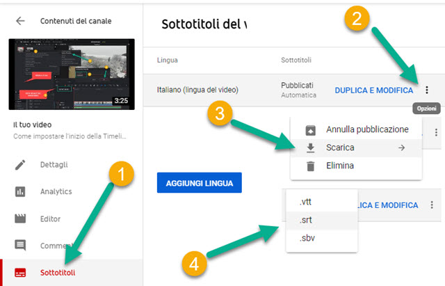 scaricare i sottotitoli automatici di youtube