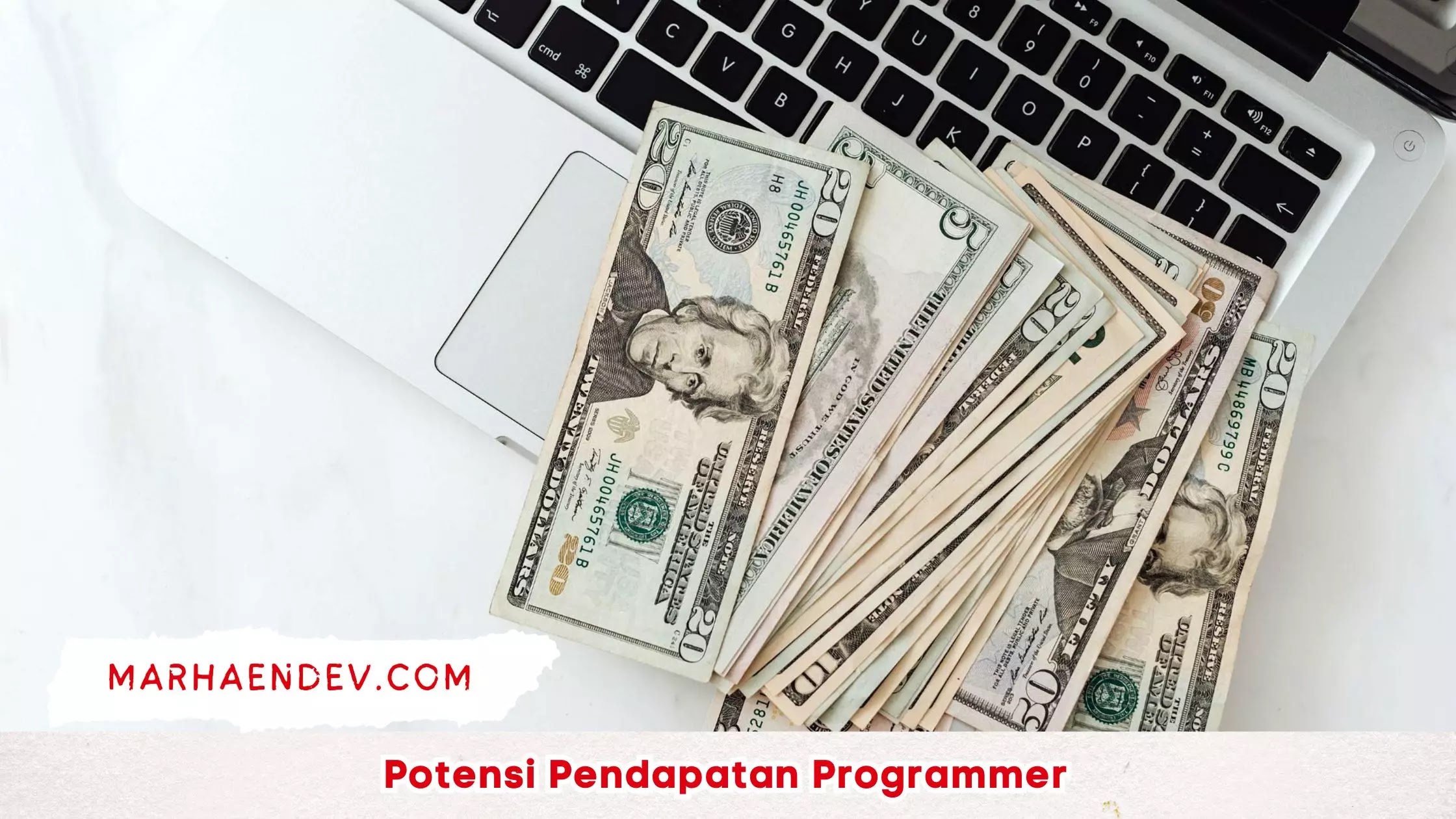 Potensi Pendapatan Programmer
