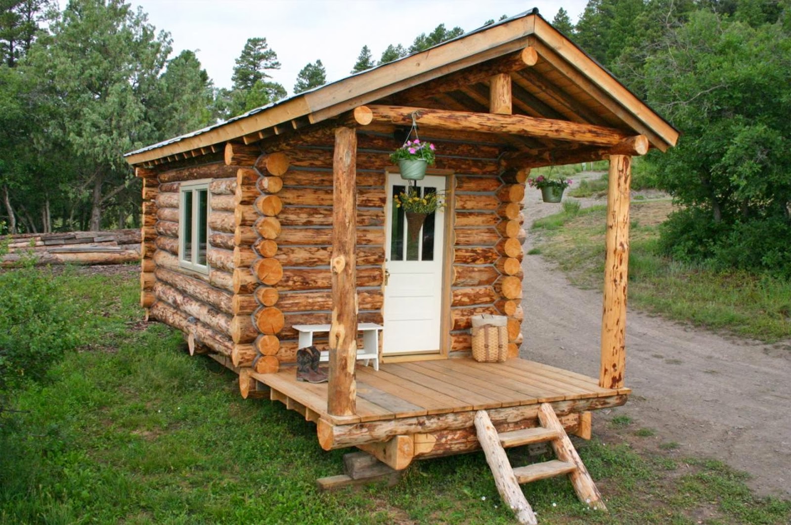 Coolest Cabins: Tiny House Log Cabin