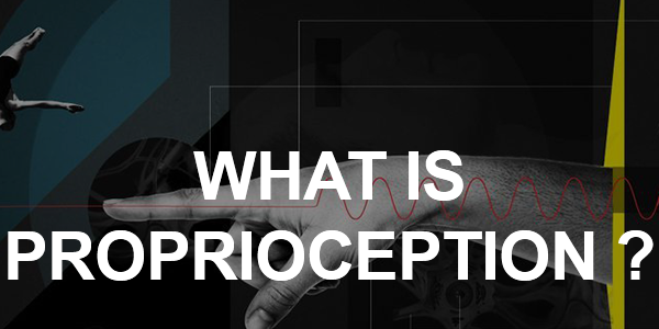 What Is Proprioception? How Do We Know The Position Of Our Hands When Our Eyes Are Closed?