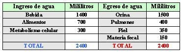 Balance hídrico diario en humanos 