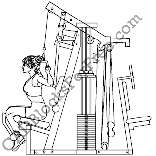 Free CAD Blocks Sport & Recreation Gym Equipment