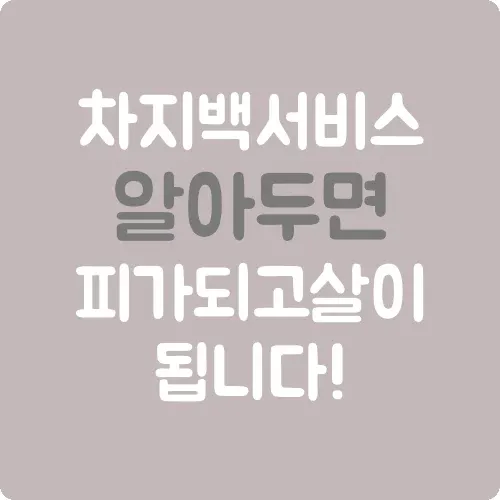 차지백 서비스 알아두면 피가 되고 살이 됩니다