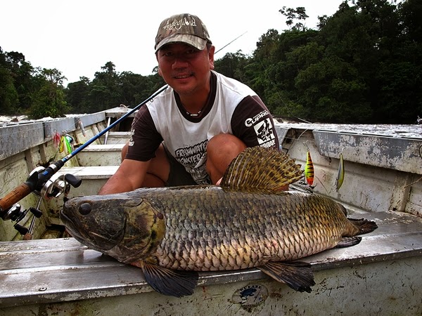 ANGLING WORLD 魔魚釣界: The Exotic Amazon Game Fish - Aimara
