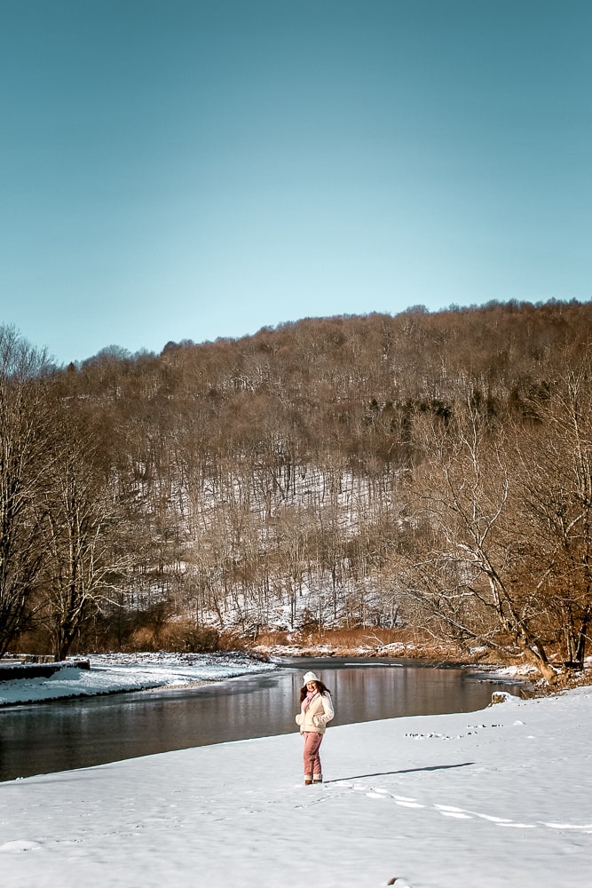 Willowemoc Creek, Antrim Streamside, Catskills New York