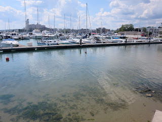 Port Washington Harbor Walk