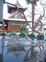 薄氷が張った水と寺院。
