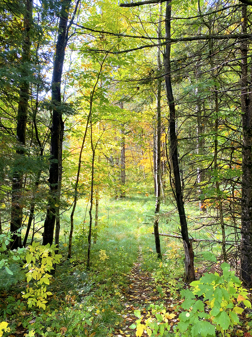 Along the North Country Trail